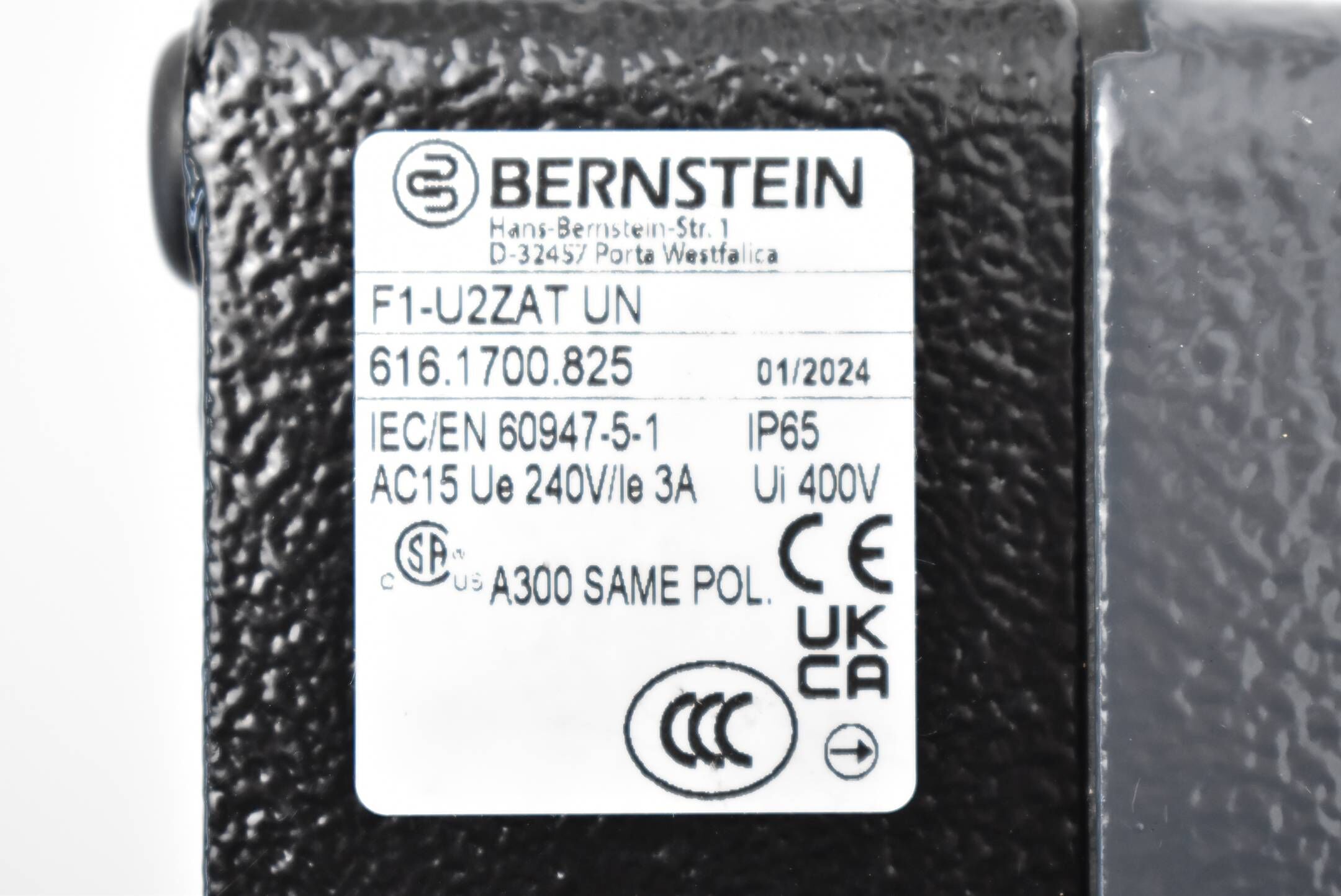 Bernstein Fußschalter F1-U2ZAT UN ( 6616.1700.825 )