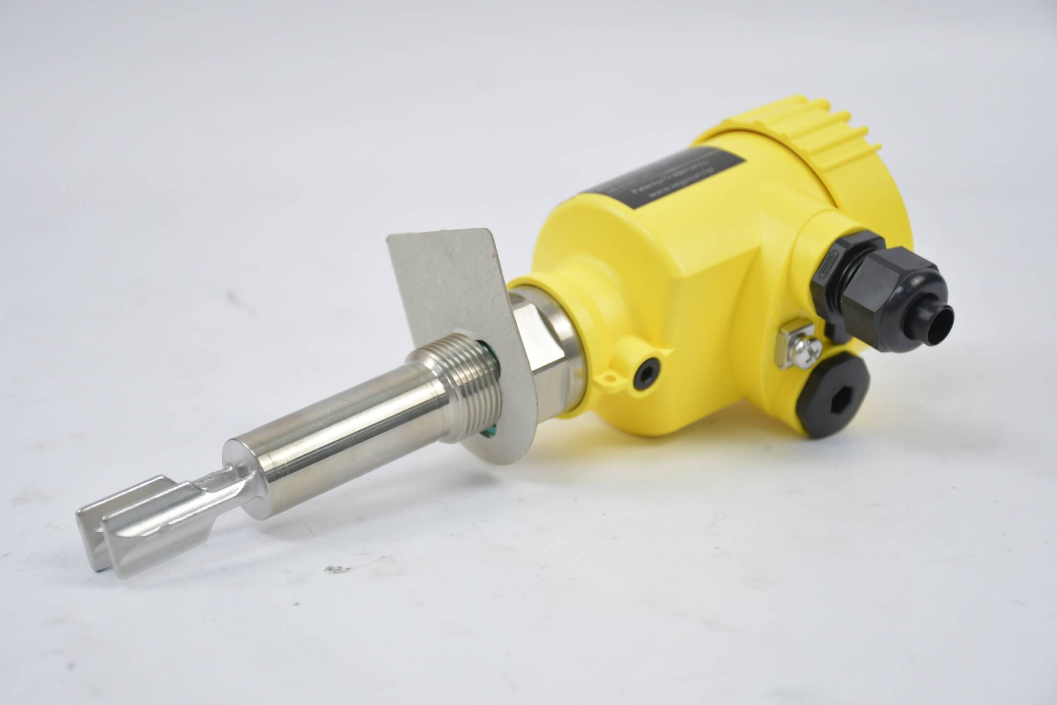 Vega Vibrationsgrenzschalter Vegaswing 61 SWING61.CUGBVXPNL